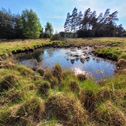 Habitats & Plants